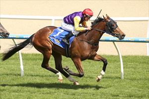 ZOUSTAR FILLY SCORES SOLID METRO MAIDEN WIN